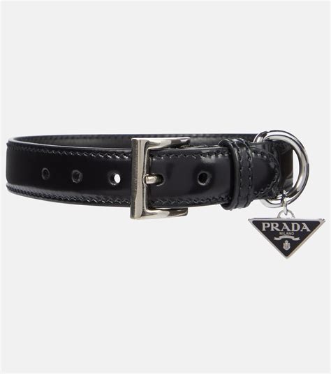 prada dog collar large|Meer.